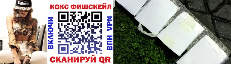 где можно купить наркотик  Зубцов  Cocaine Эквадор 