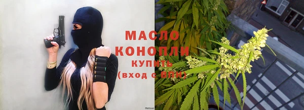 дмт Дмитровск