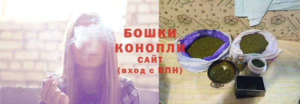 дмт Дмитровск
