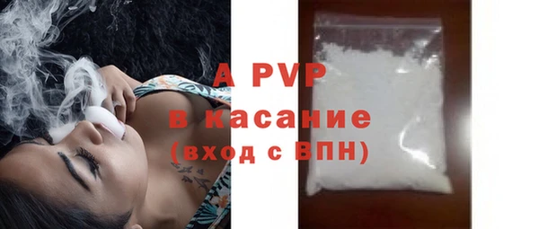 мяу мяу мука Дмитриев
