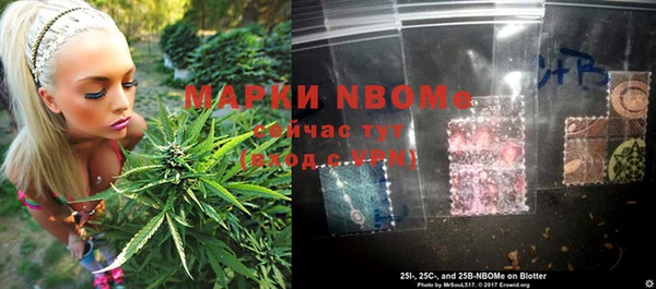 мяу мяу мука Дмитриев