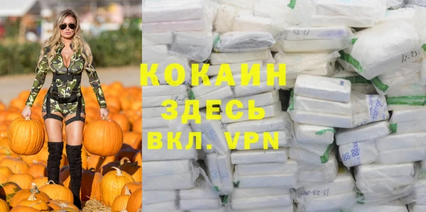 дмт Дмитровск