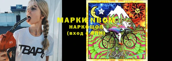 дмт Дмитровск