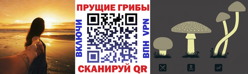 Псилоцибиновые грибы мухоморы  Зубцов 
